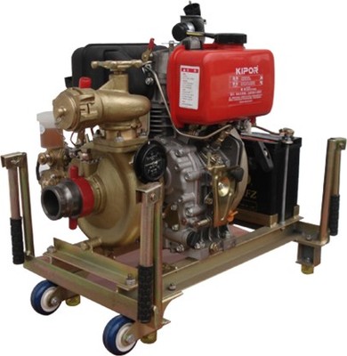 CWY船用应急消防泵